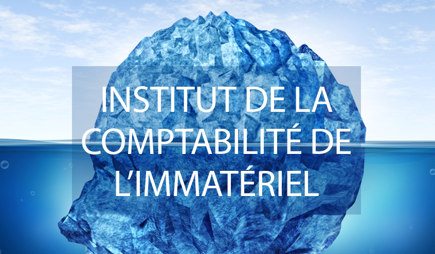 Institut de la Comptabilité Immatériel - Goodwill Management