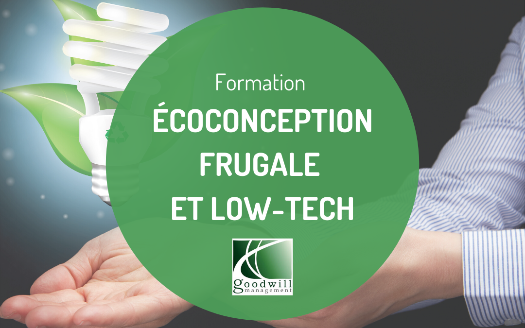 Formation écoconception et low-tech - Goodwill Management