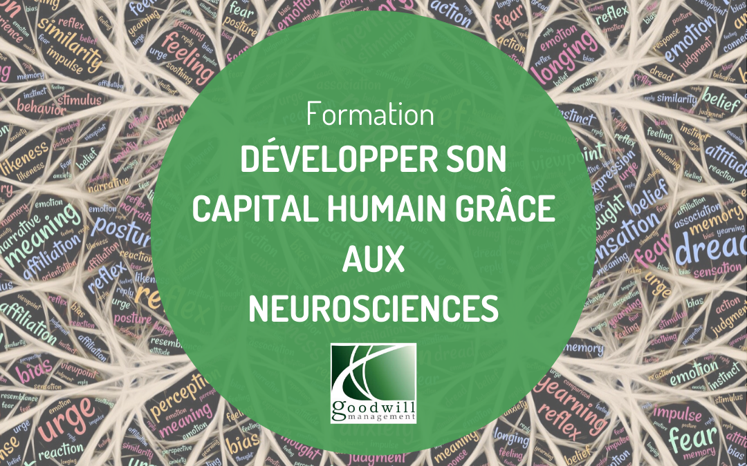 Formation - Développer le  son capital humain grâce aux neurosciences
