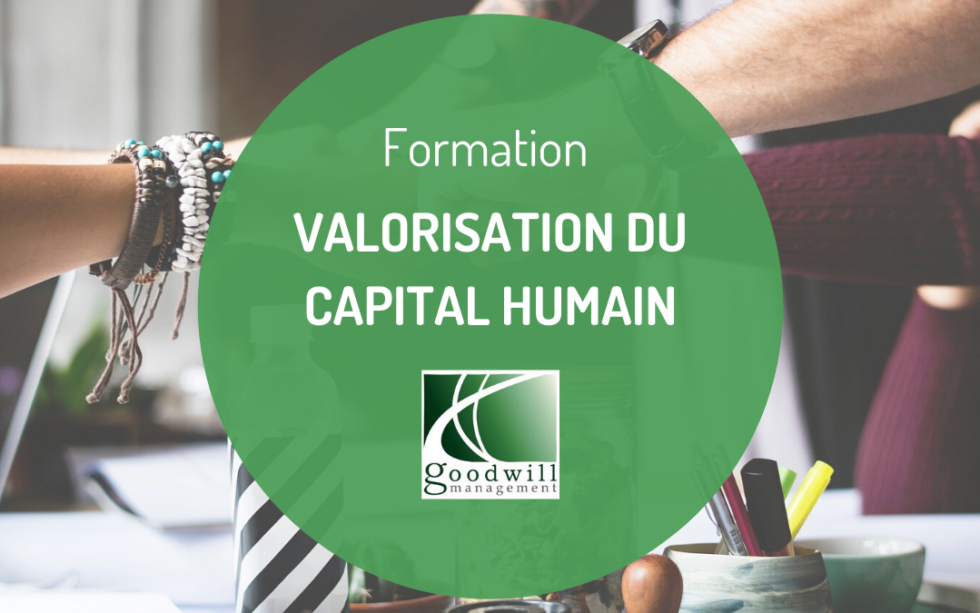 Formation Valoriser Le Capital Humain Goodwill Management