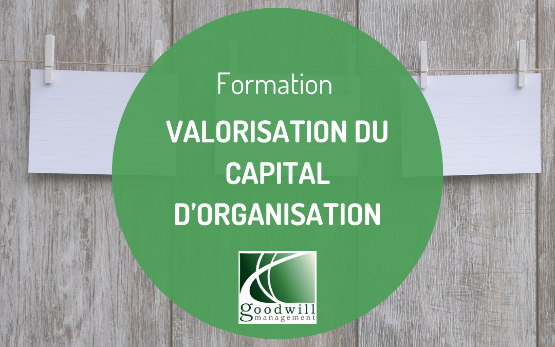 Formation valoriser le capital organisation - Goodwill Management