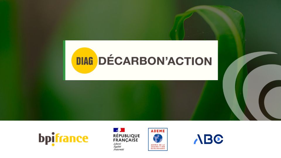 Image d'une plante avec le logo Diag Décarbon'Action