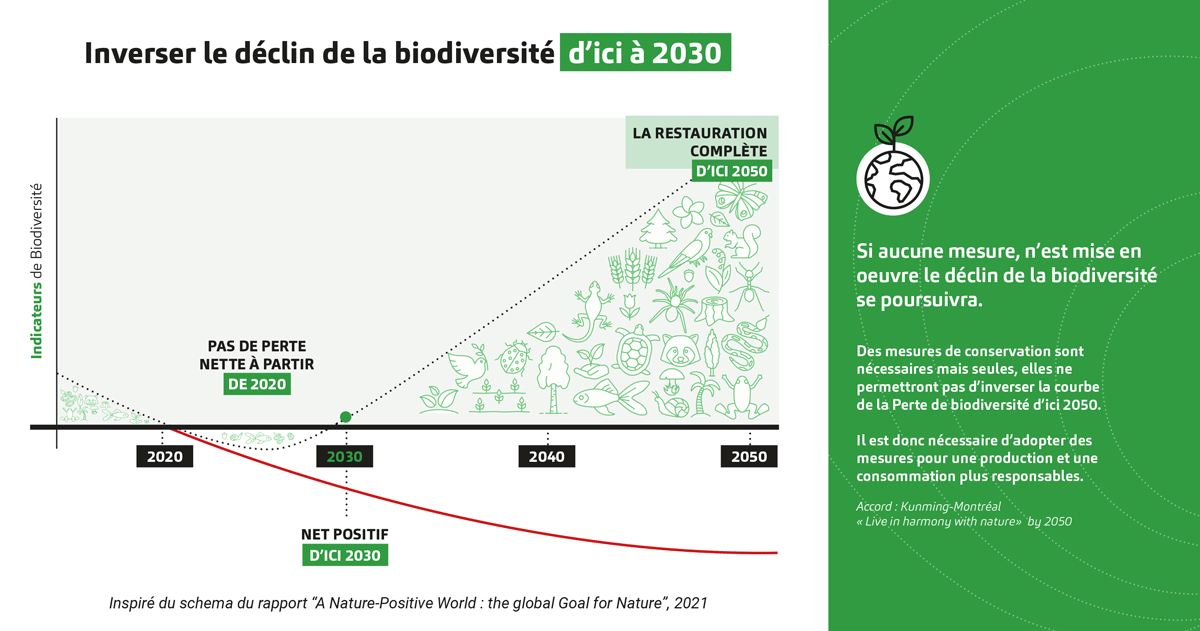 Courbe de l'inversion du déclin de la biodiversité