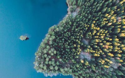 Replay du webinaire achats responsables