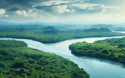 Replay du webinaire sur la stratégie du Y