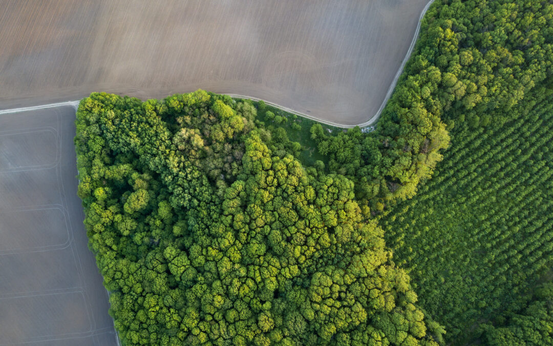 La Biodiversité : un enjeu vital pour l’agroalimentaire