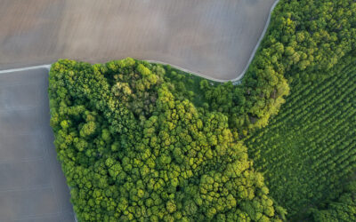 Diag Adaptation pour anticiper les impacts du changement climatique sur votre entreprise