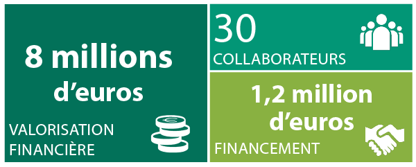 Résultats de la valorisation de la marque Dotvision
