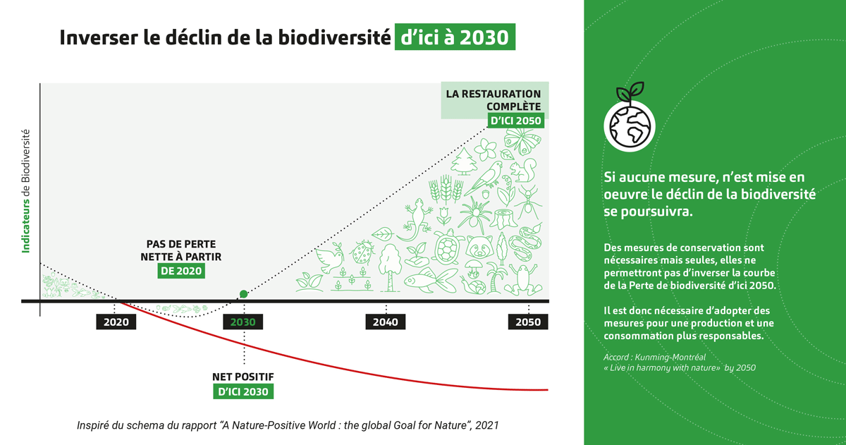 Visuel de la trajectoire pour inverser le déclin de la biodiversité d'ici à 2030