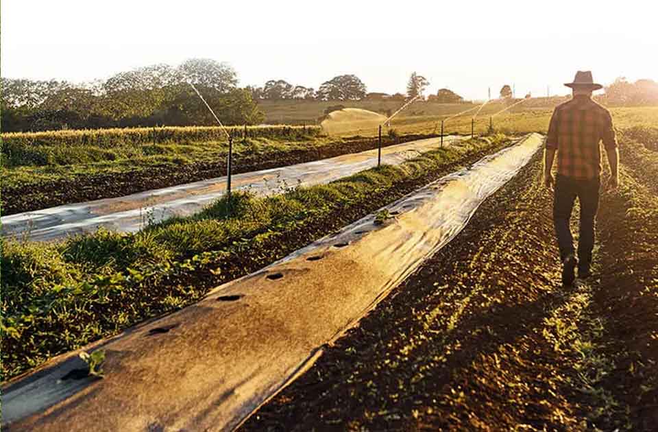 Image de présentation