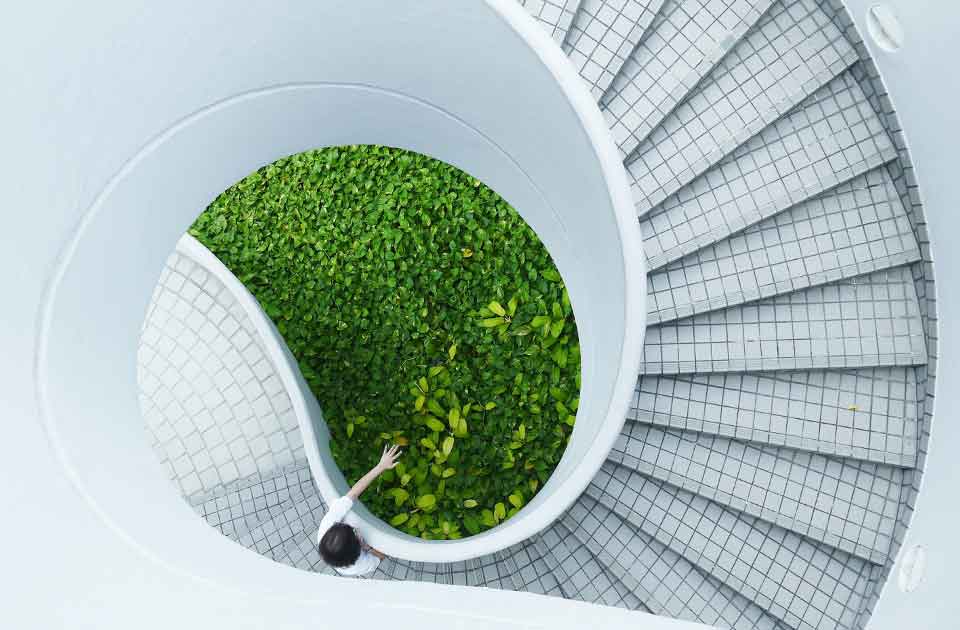 Image de présentation