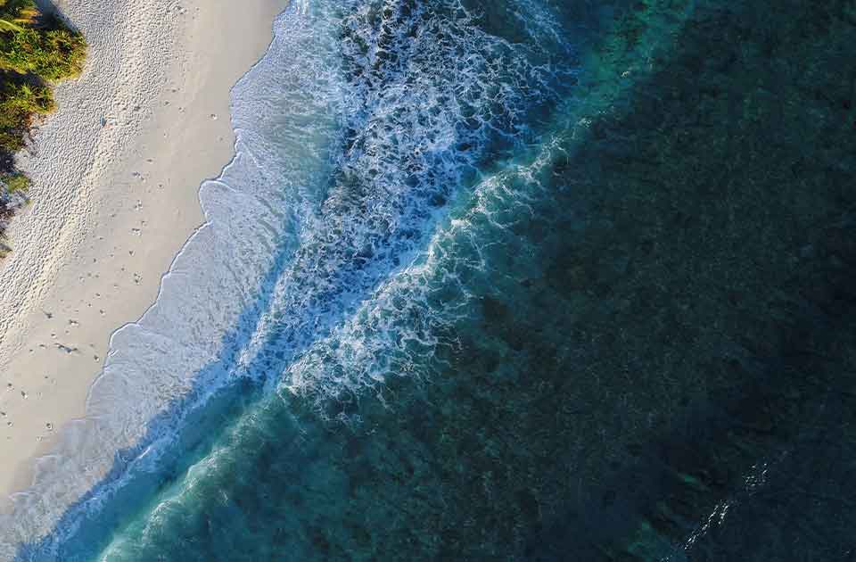 Image de présentation