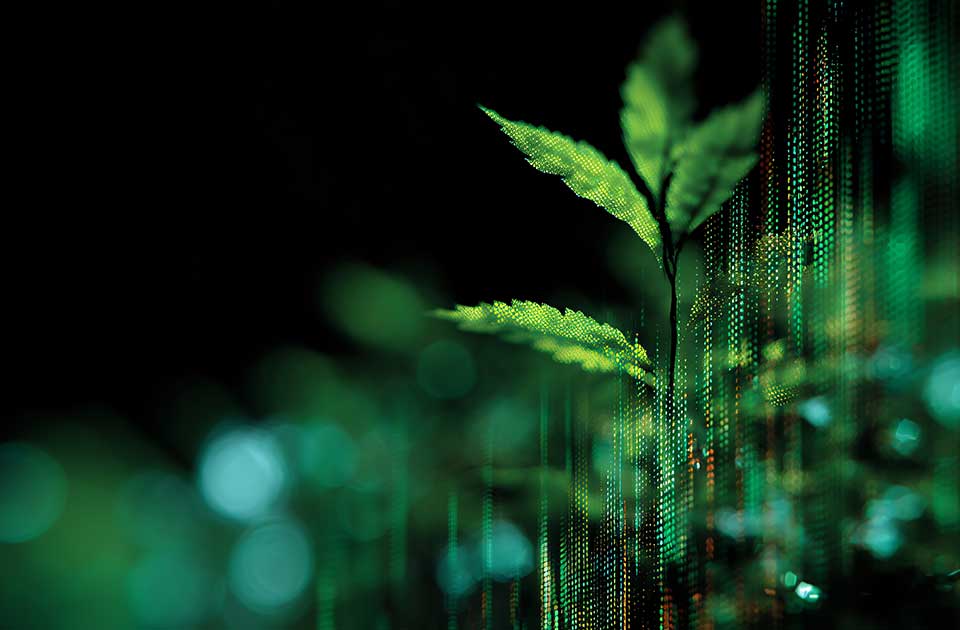 Image de présentation