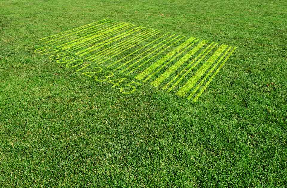 Image de présentation