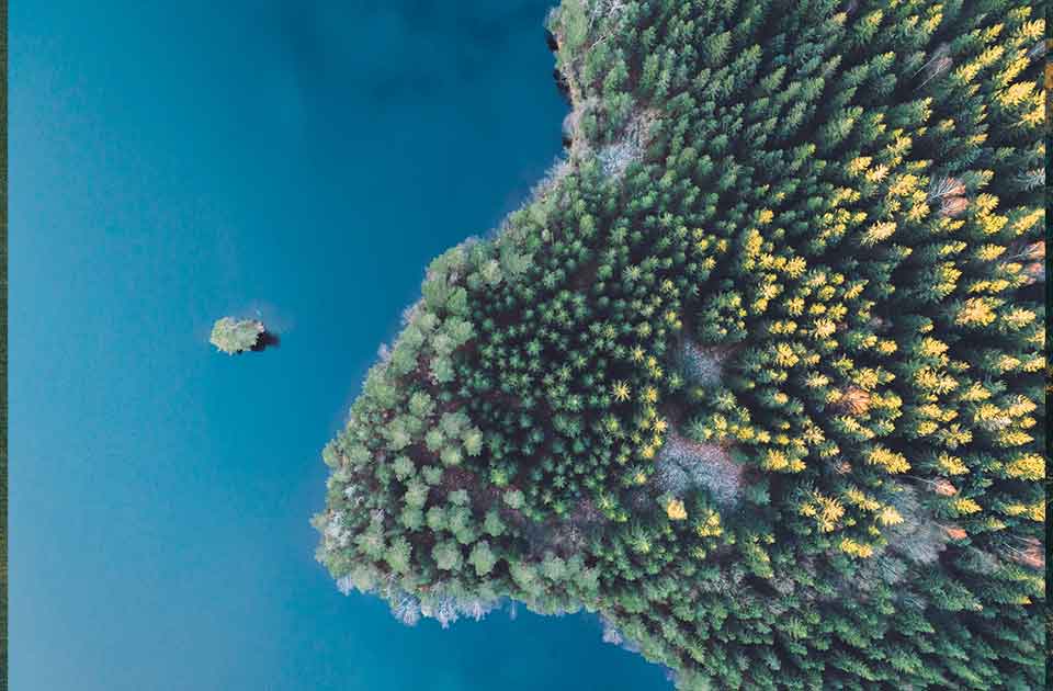 Image de présentation