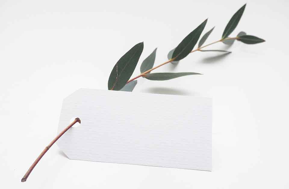 Image de présentation