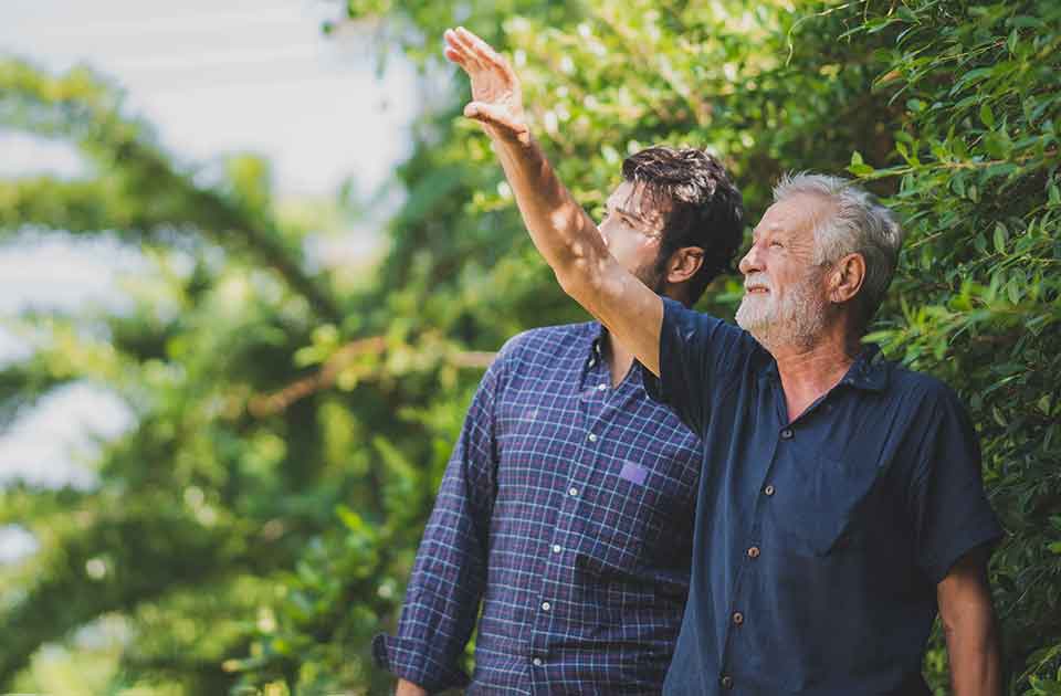 Image de présentation