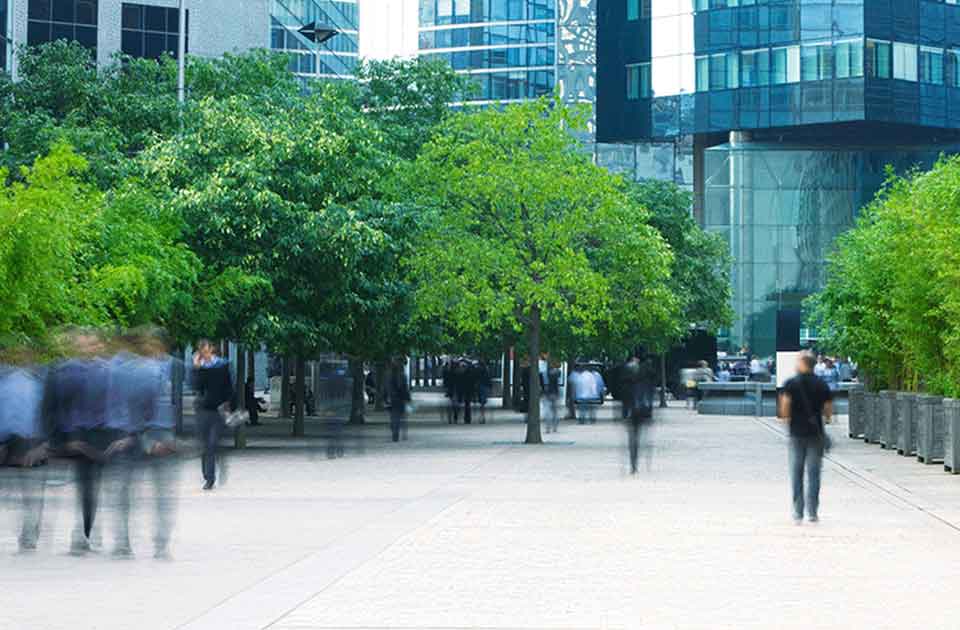 Image de présentation