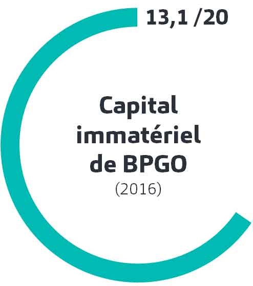 Résultats du capital immatériel de BPGO