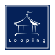 logo Looping