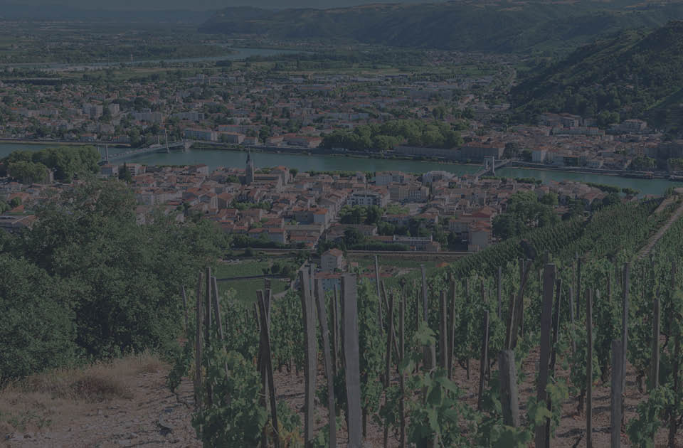 Image de présentation